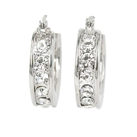 Dazzling Hoops Earrings